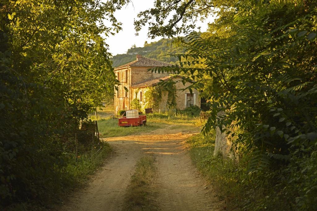 Agriturismo Cardito Santa Rufina Exteriér fotografie