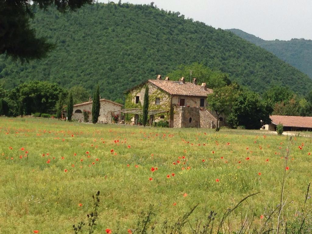 Agriturismo Cardito Santa Rufina Exteriér fotografie