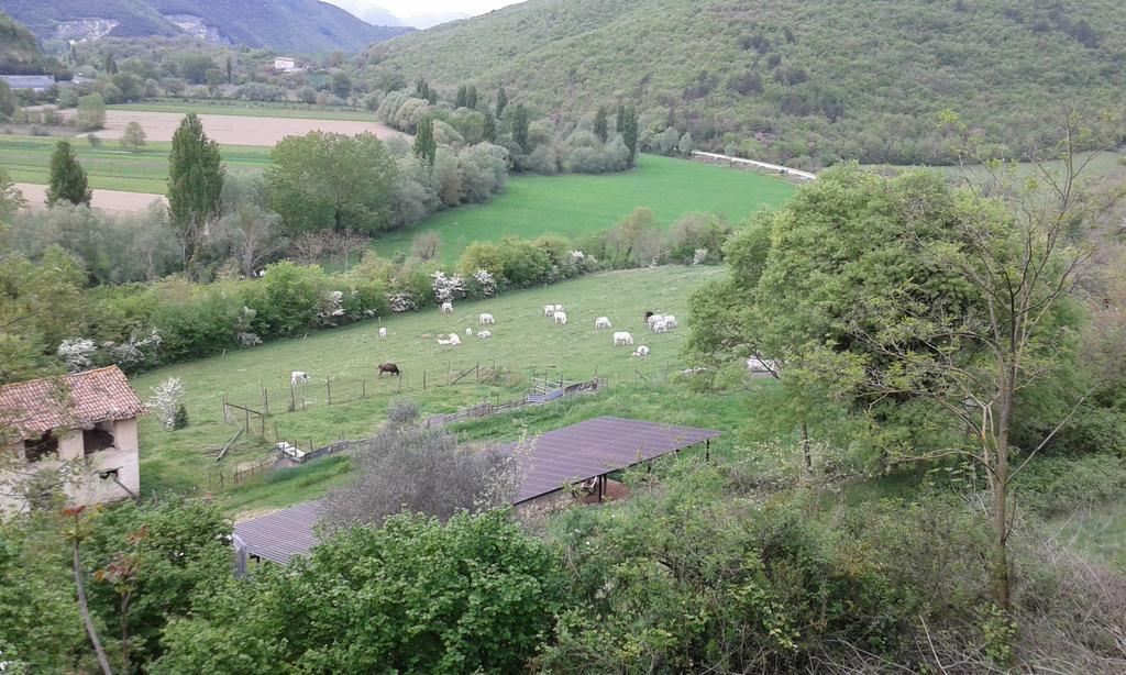 Agriturismo Cardito Santa Rufina Exteriér fotografie