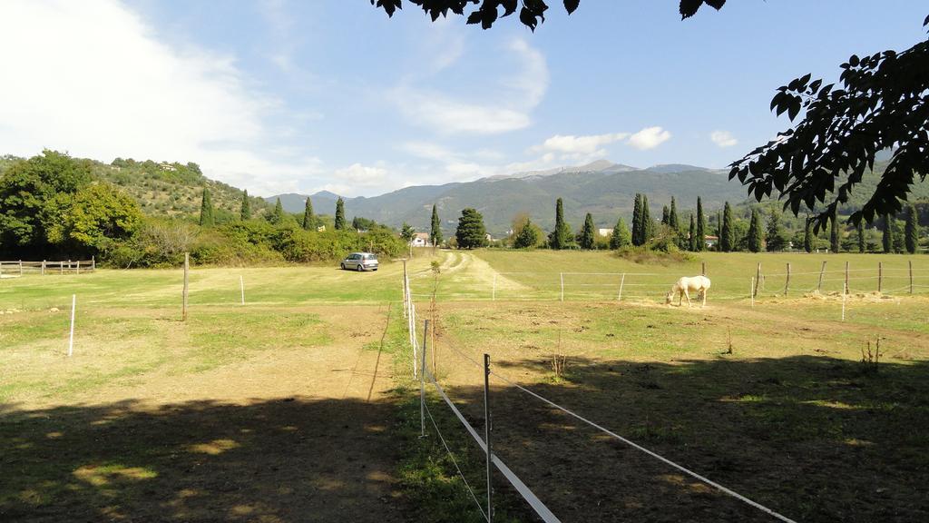 Agriturismo Cardito Santa Rufina Exteriér fotografie