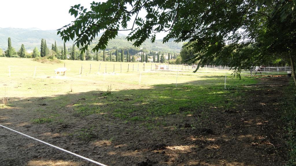Agriturismo Cardito Santa Rufina Exteriér fotografie