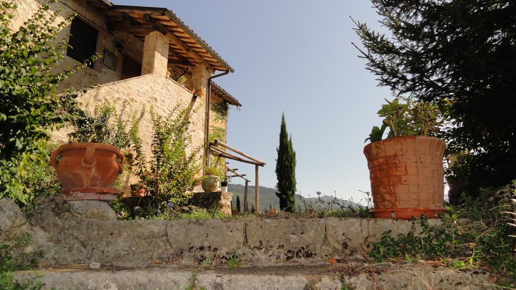 Agriturismo Cardito Santa Rufina Exteriér fotografie